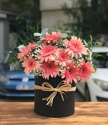 Kutuda Pembe Gerberalar